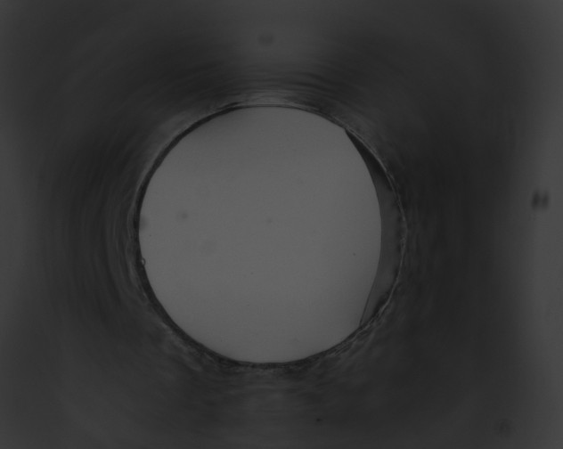 X0000091900289200710031208