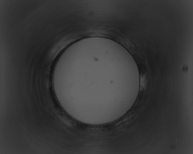 X0000091900291200710031208