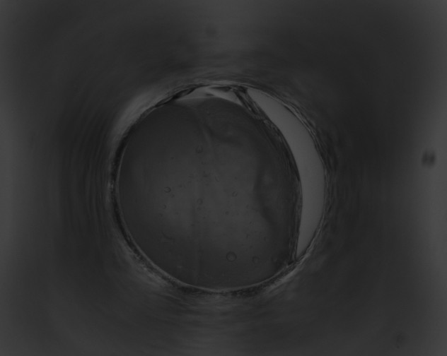 X0000091900293200710031208