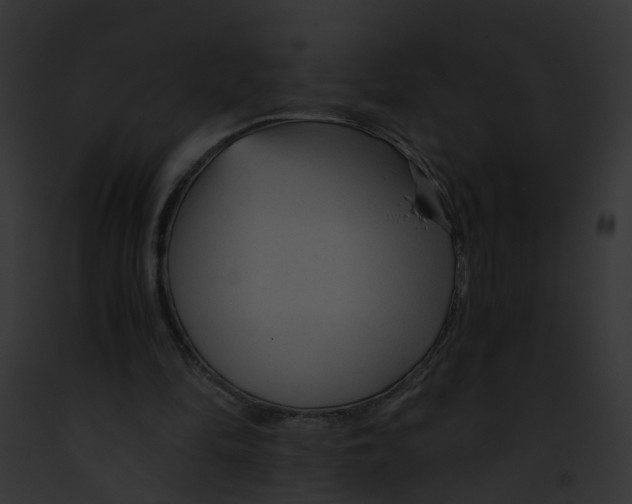 X0000091900294200710031208