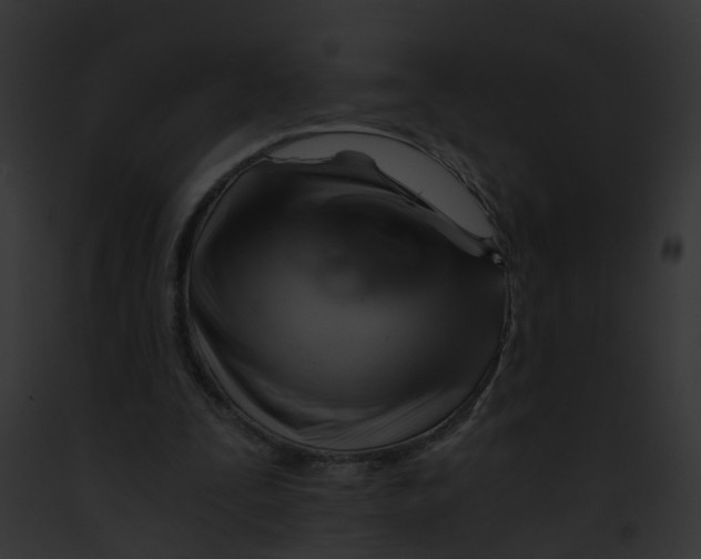 X0000091900295200710031208