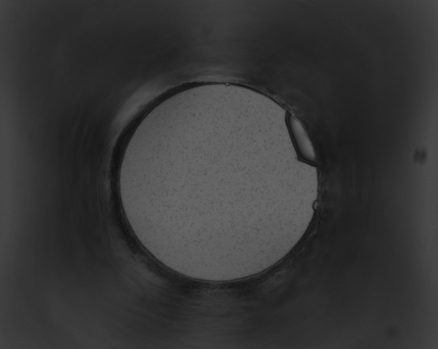 X0000091900296200710031208