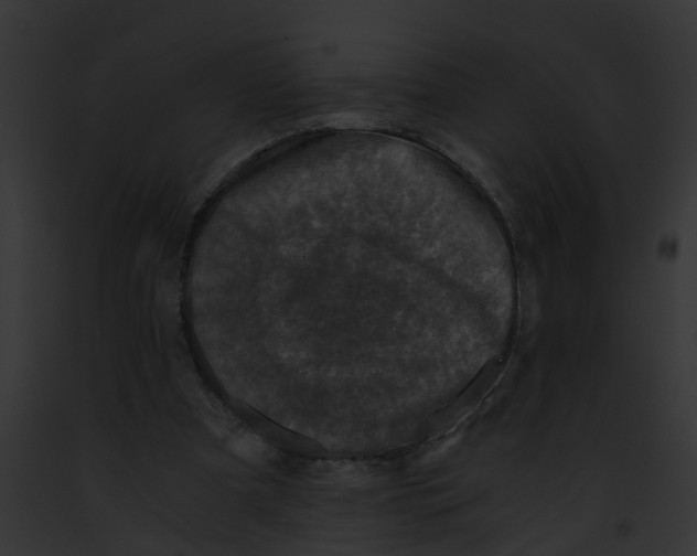 X0000091900297200710031208