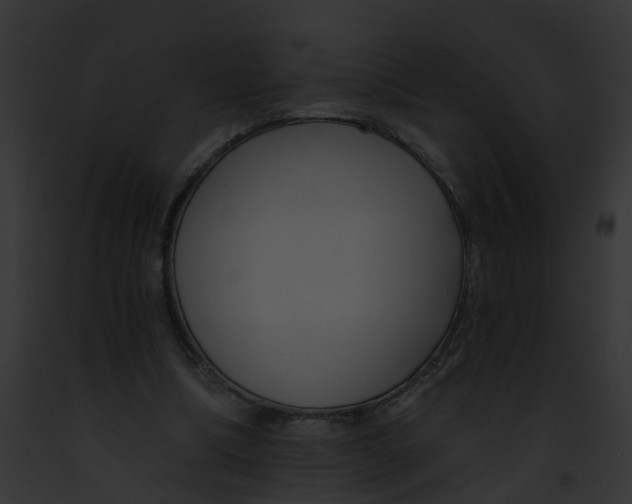 X0000091900298200710031208