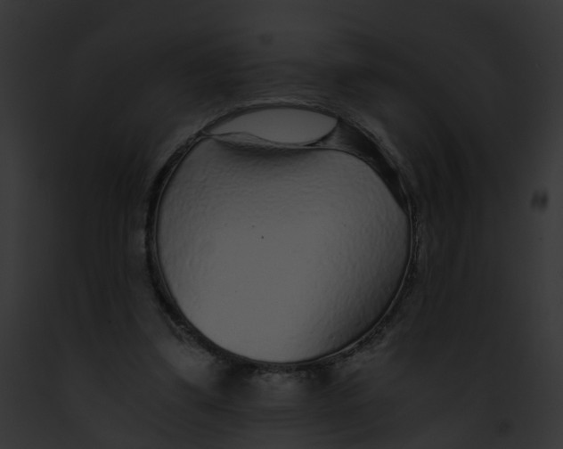 X0000091900299200710031208