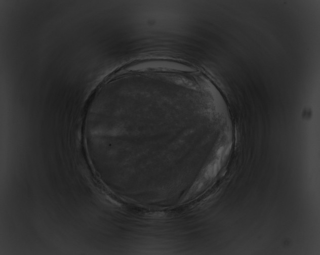 X0000091900301200710031208