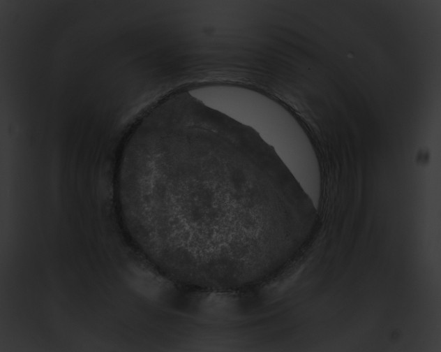 X0000091900303200710031207