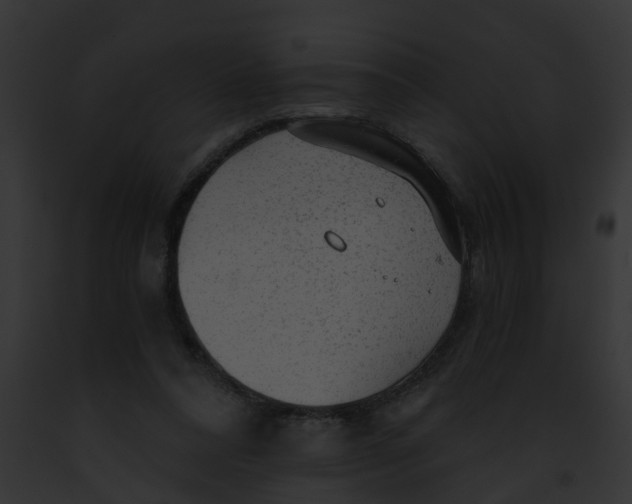 X0000091900304200710031207