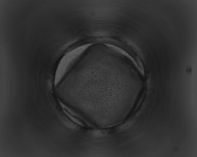 X0000091900305200710031207