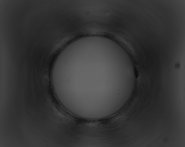 X0000091900306200710031207