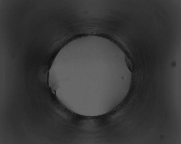 X0000091900307200710031207