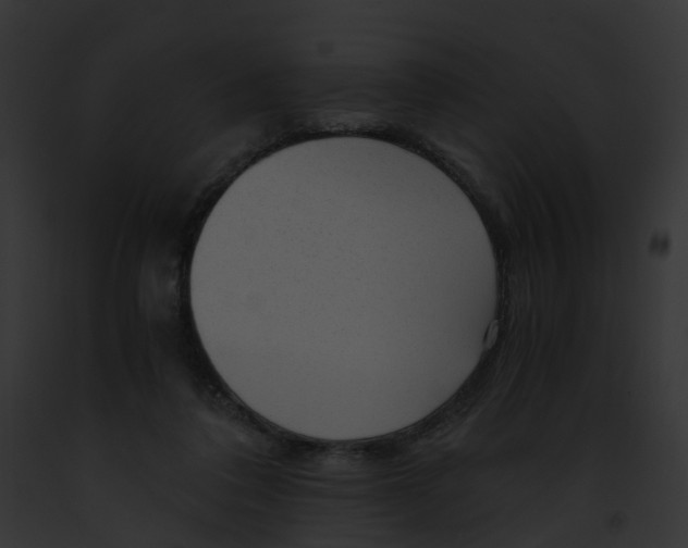 X0000091900308200710031207