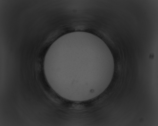 X0000091900311200710031207