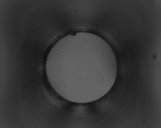 X0000091900312200710031207