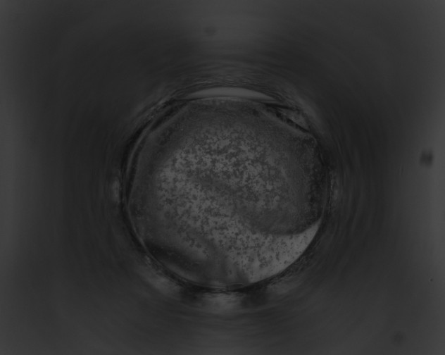 X0000091900313200710031207