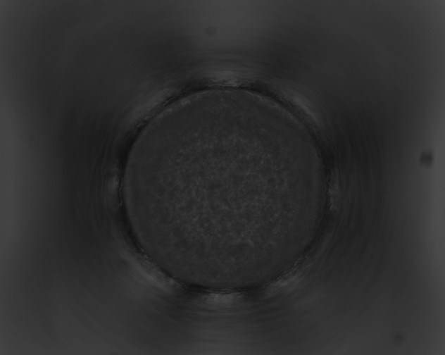 X0000091900314200710031207