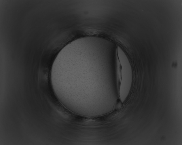 X0000091900315200710031207