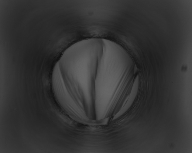 X0000091900317200710031207