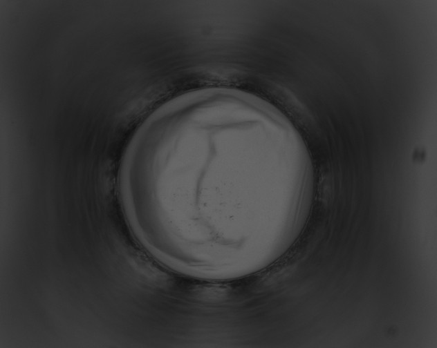 X0000091900318200710031207