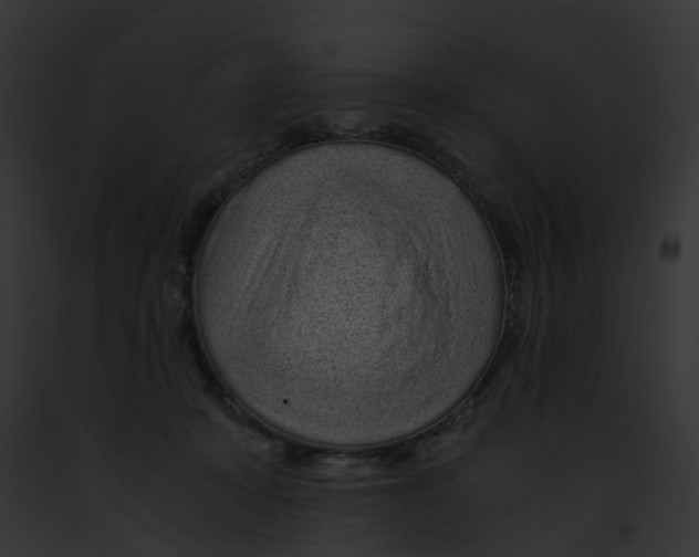 X0000091900319200710031207