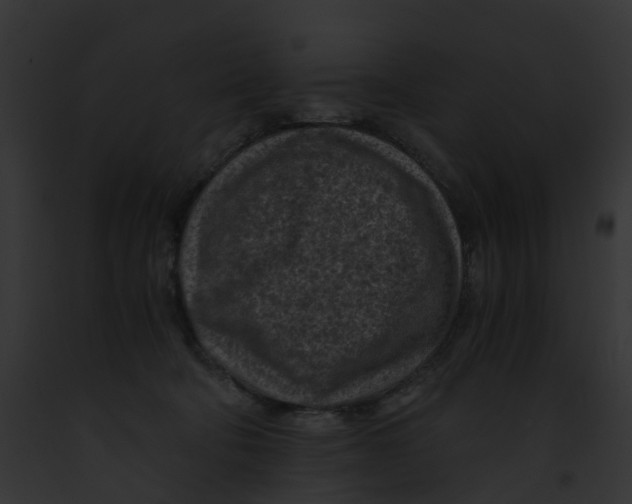 X0000091900322200710031207