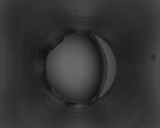 X0000091900323200710031207