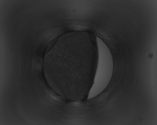 X0000091900325200710031207