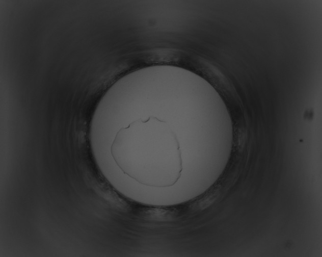 X0000091900326200710031207