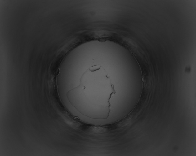 X0000091900327200710031207