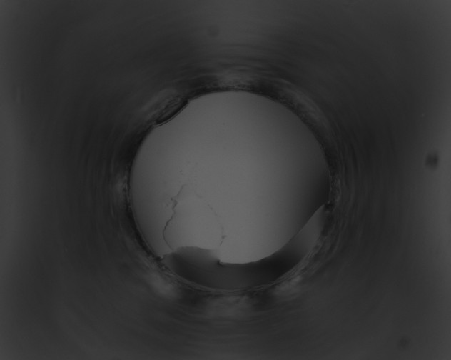 X0000091900329200710031207