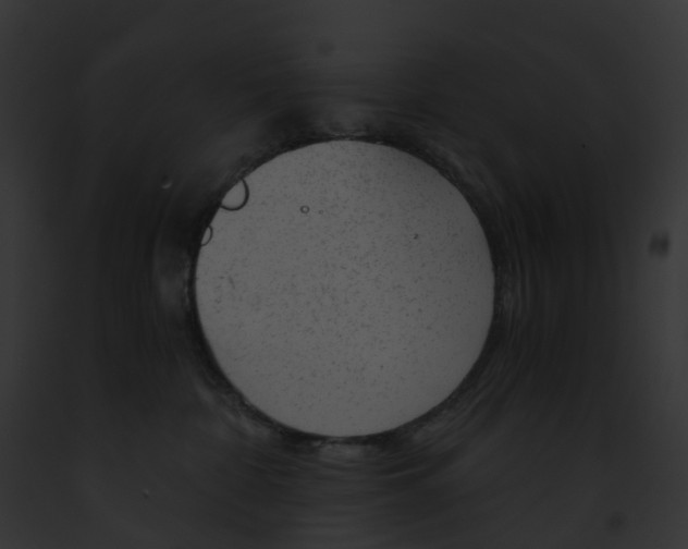 X0000091900332200710031207