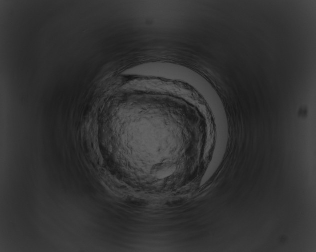 X0000091900333200710031207