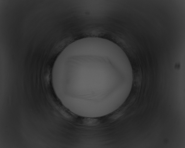 X0000091900334200710031207