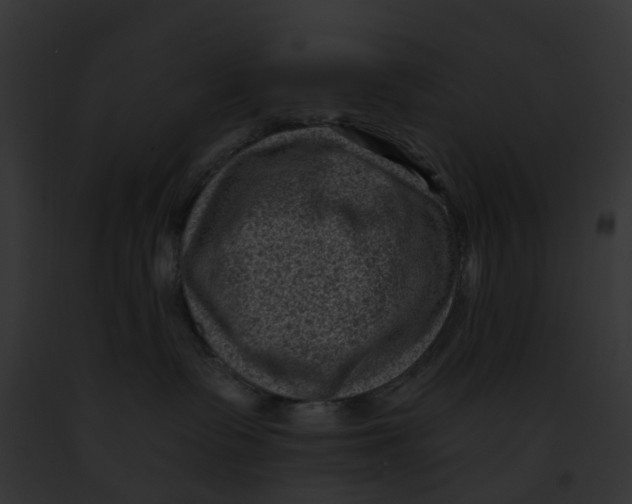 X0000091900335200710031207