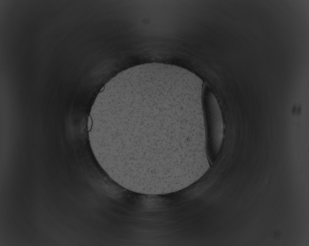 X0000091900336200710031207