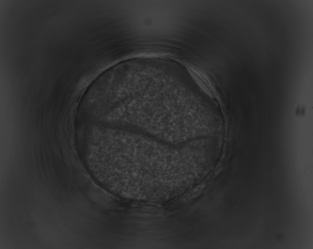 X0000091900337200710031206