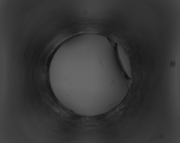 X0000091900338200710031207