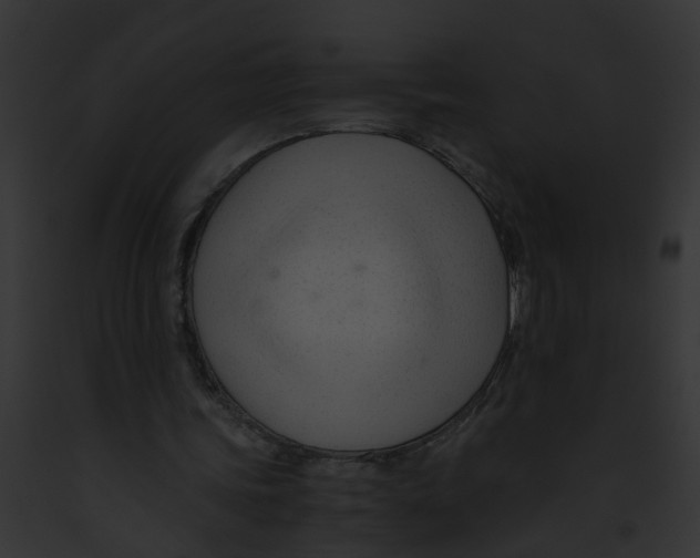 X0000091900339200710031207