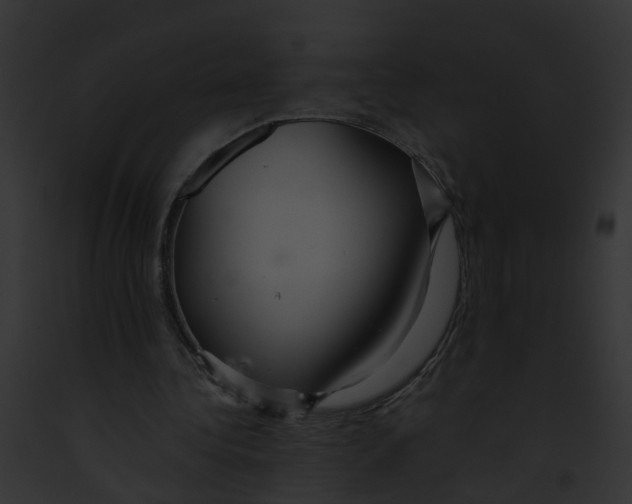 X0000091900340200710031207