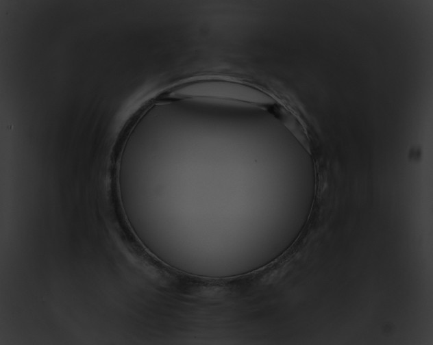 X0000091900344200710031207