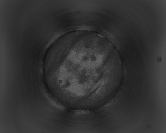 X0000091900347200710031207