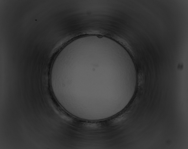 X0000091900349200710031207