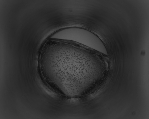 X0000091900350200710031207