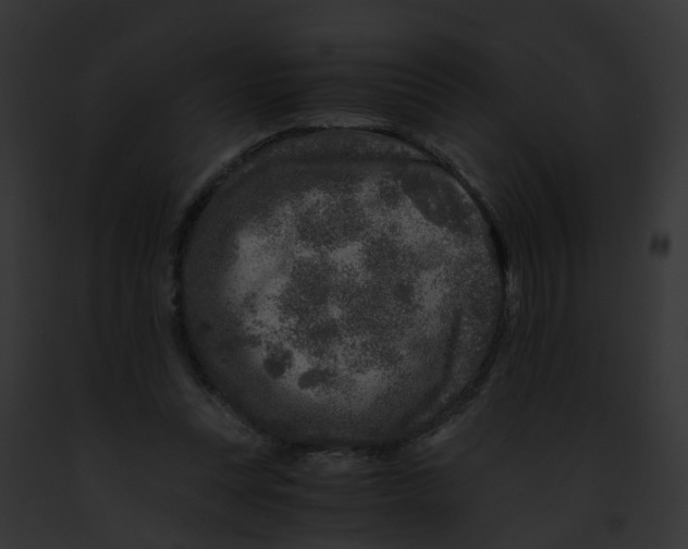 X0000091900351200710031207