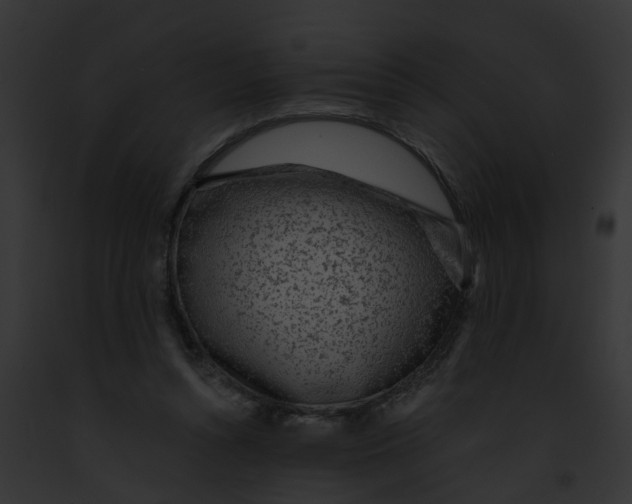 X0000091900352200710031207