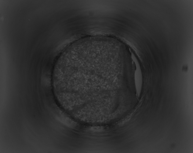 X0000091900353200710031207