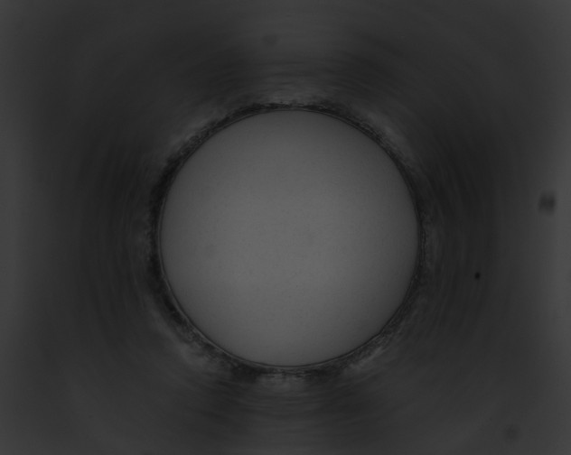 X0000091900354200710031207