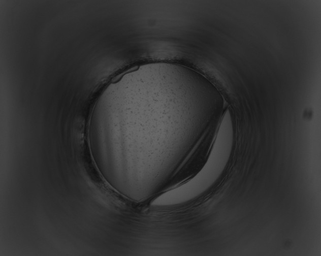 X0000091900356200710031207