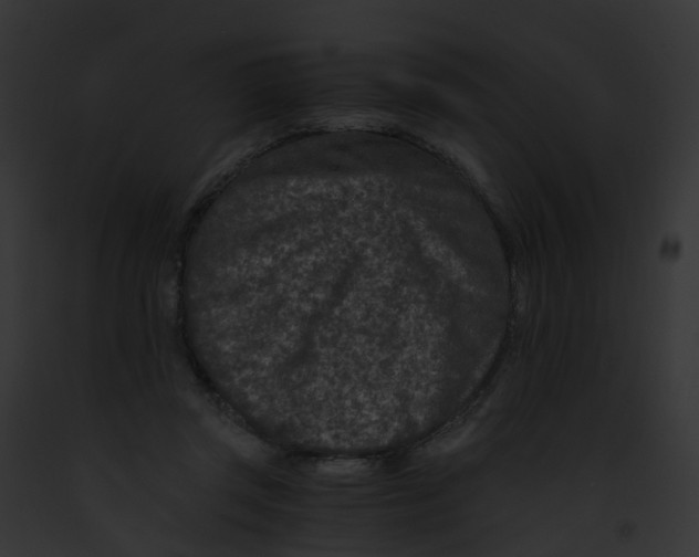 X0000091900357200710031207