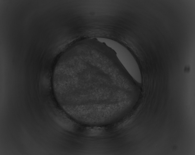 X0000091900359200710031207